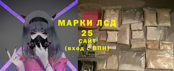 стаф Арсеньев