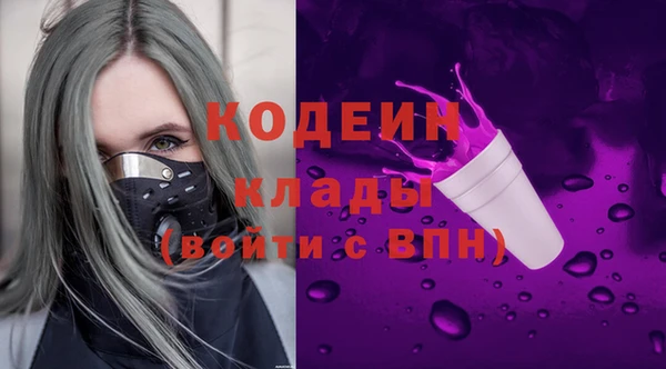 стаф Арсеньев