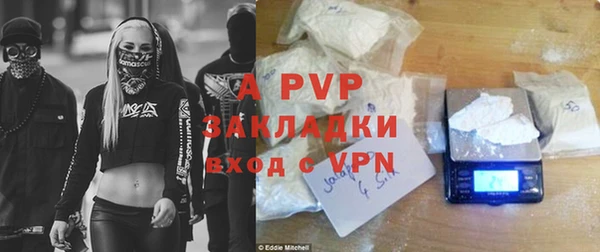стаф Арсеньев