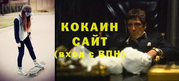 стаф Арсеньев