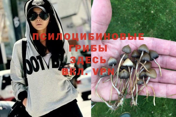 стаф Арсеньев