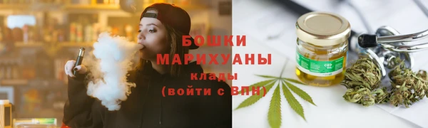стаф Арсеньев