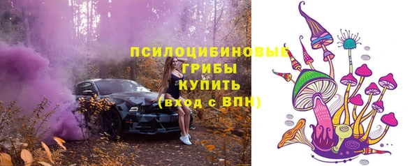 мяу мяу мука Армянск