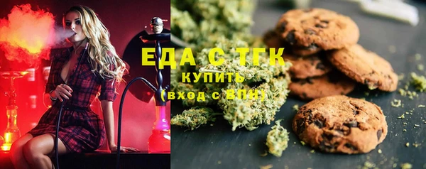 стаф Арсеньев