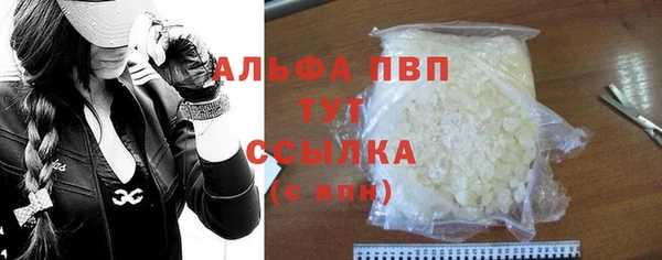 стаф Арсеньев