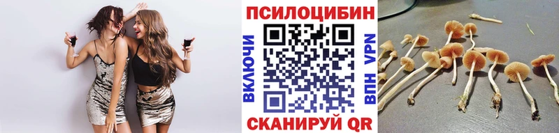 сайты даркнета телеграм  Североморск  Псилоцибиновые грибы Psilocybe 